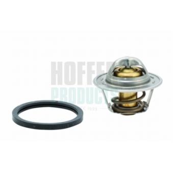 Thermostat, liquide de refroidissement HOFFER OEM 03038094