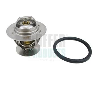 Thermostat, liquide de refroidissement HOFFER OEM 6169774