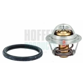 Thermostat, liquide de refroidissement HOFFER OEM 1767050G00