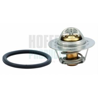 Thermostat, liquide de refroidissement HOFFER OEM 8200772990