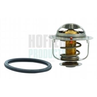 Thermostat, liquide de refroidissement HOFFER OEM 212006N210
