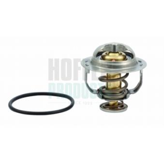 Thermostat, liquide de refroidissement HOFFER OEM 06J121113C