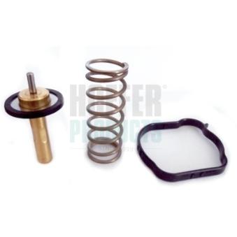 Thermostat, liquide de refroidissement HOFFER OEM 31293556
