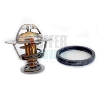 Thermostat, liquide de refroidissement HOFFER OEM 1872633