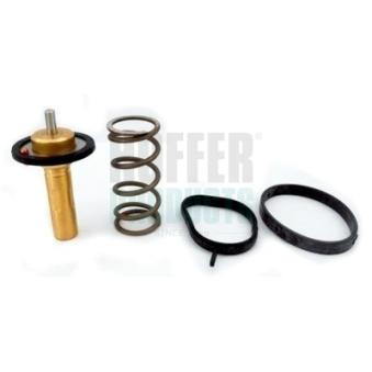 Thermostat, liquide de refroidissement HOFFER OEM BM5G9K478AA