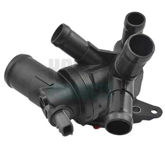 Thermostat d'eau HOFFER OEM 1106100Q1N Thermostat d'eau HOFFER OEM 1106100Q1N