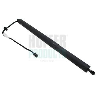 Vérin, étagère (coffre) arrière gauche HOFFER OEM 81770D3100