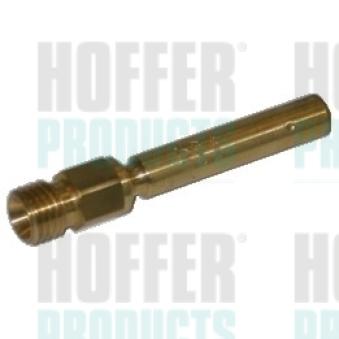 Injecteur HOFFER H75111047