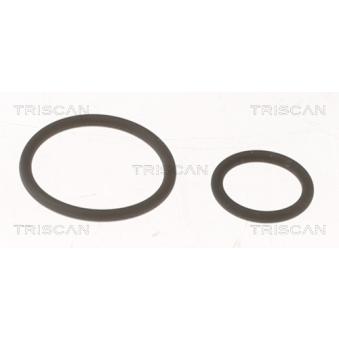Kit de joints, injecteur TRISCAN [596-1001]