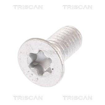 Vis, disque de frein TRISCAN [8105 11671]