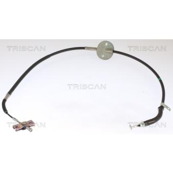 Tirette à câble, frein de stationnement TRISCAN [8140 18161]