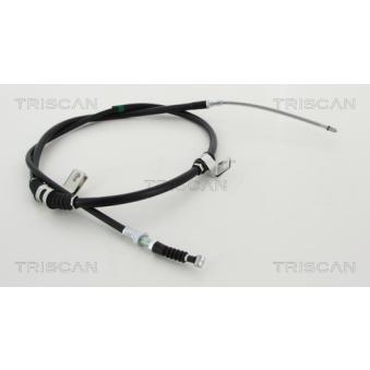 Tirette à câble, frein de stationnement TRISCAN [8140 431038]