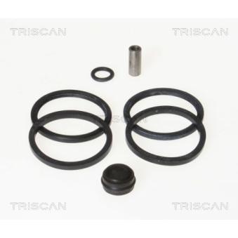 Kit de réparation, étrier de frein TRISCAN [8170 203001]