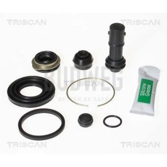 Kit de réparation, étrier de frein TRISCAN [8170 203505]