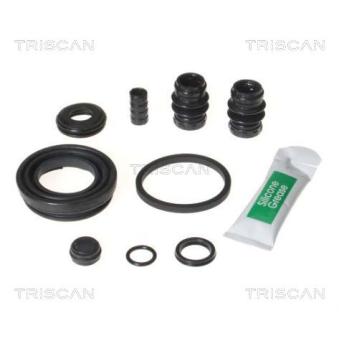 Kit de réparation, étrier de frein TRISCAN [8170 203825]