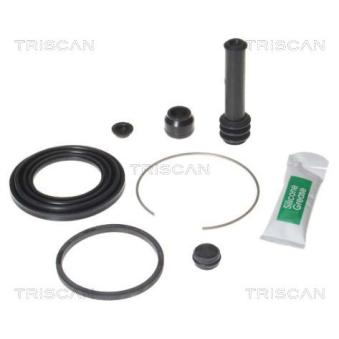 Kit de réparation, étrier de frein TRISCAN [8170 204856]