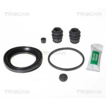 Kit de réparation, étrier de frein TRISCAN [8170 205727]