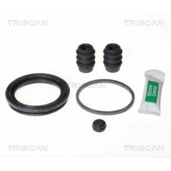 Kit de réparation, étrier de frein TRISCAN [8170 205735]