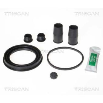 Kit de réparation, étrier de frein TRISCAN [8170 206601]