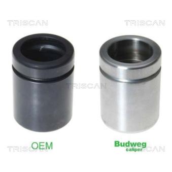 Piston, étrier de frein TRISCAN [8170 234233]