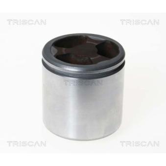 Piston, étrier de frein TRISCAN [8170 236046]