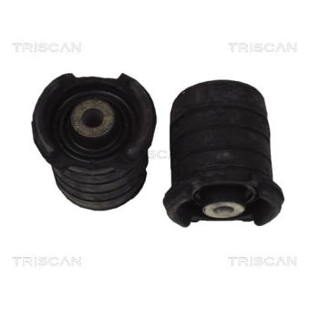 Suspension, corps de l'essieu TRISCAN [8500 11813]