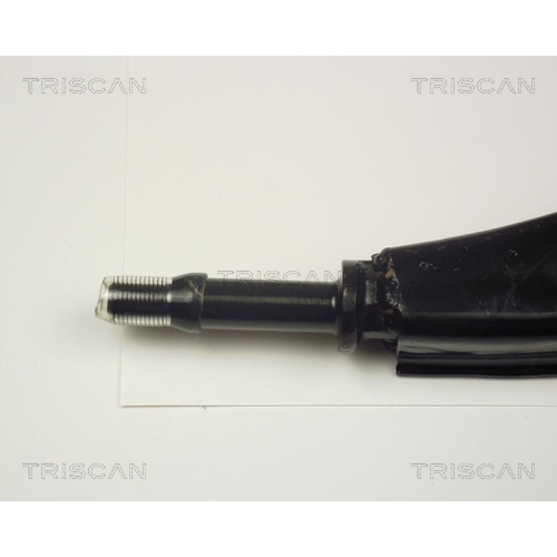 Triangle ou bras de suspension (train avant) TRISCAN 8500 13516 - Visuel 1
