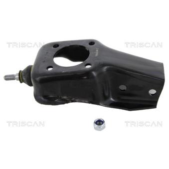 Support de palier, corps de l'essieu TRISCAN [8500 15560]