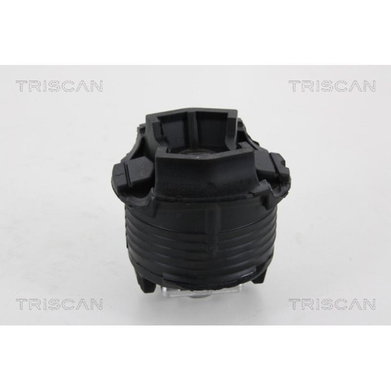 Kit de réparation, corps de l'essieu TRISCAN 8500 23826 - Visuel 1