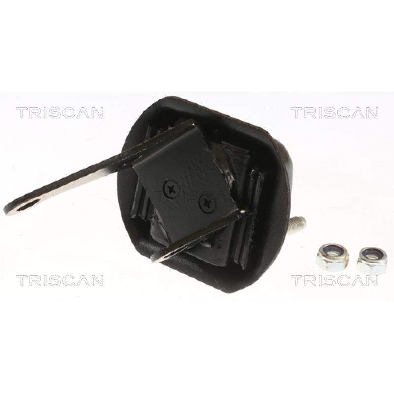 Support de palier, corps de l'essieu TRISCAN 8500 28534 - Visuel 1