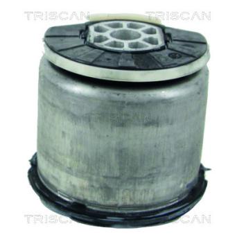 Suspension, corps de l'essieu TRISCAN [8500 28836]