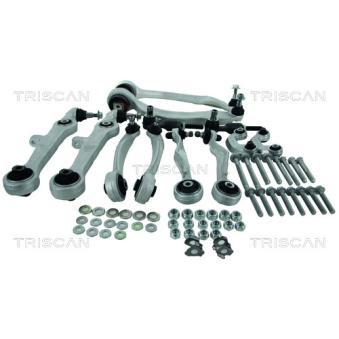 Kit de réparation, bras triangulaire TRISCAN OEM 8E0498998