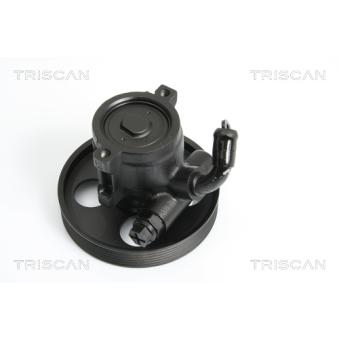 Pompe hydraulique, direction TRISCAN [8515 28620]