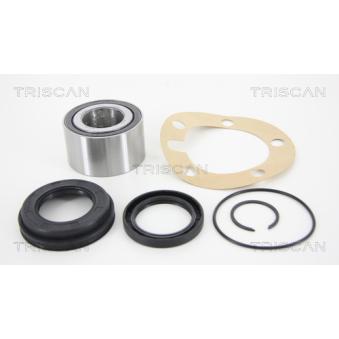 Roulement de roue arrière TRISCAN [8530 13256]