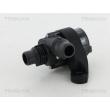 TRISCAN 8600 11046 - Pompe à eau