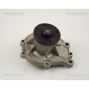 Pompe à eau TRISCAN [8600 14012]
