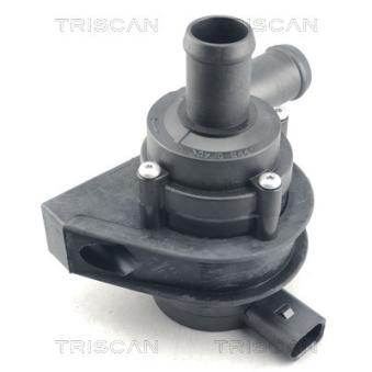 Pompe à eau TRISCAN [8600 29074]