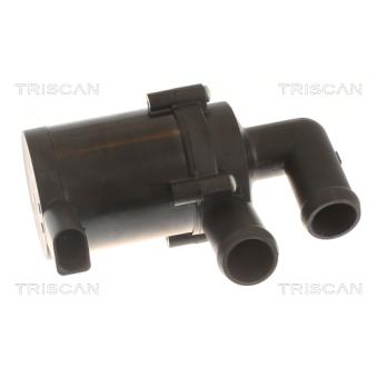 Pompe à eau TRISCAN [8600 29098]