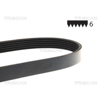 Courroie trapézoïdale à nervures TRISCAN [8640 602535]