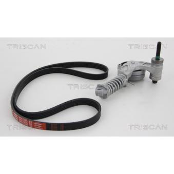 Jeu de courroies trapézoïdales à nervures TRISCAN [8642 10008]
