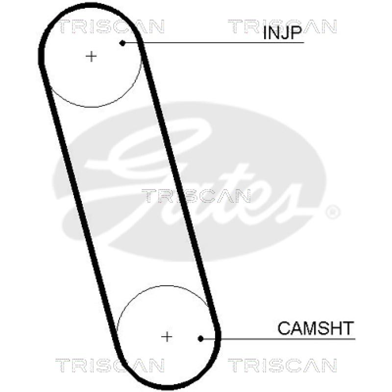 Courroie de distribution TRISCAN 8645 5100 - Visuel 1