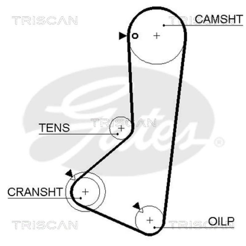Courroie de distribution TRISCAN 8645 5254xs - Visuel 1