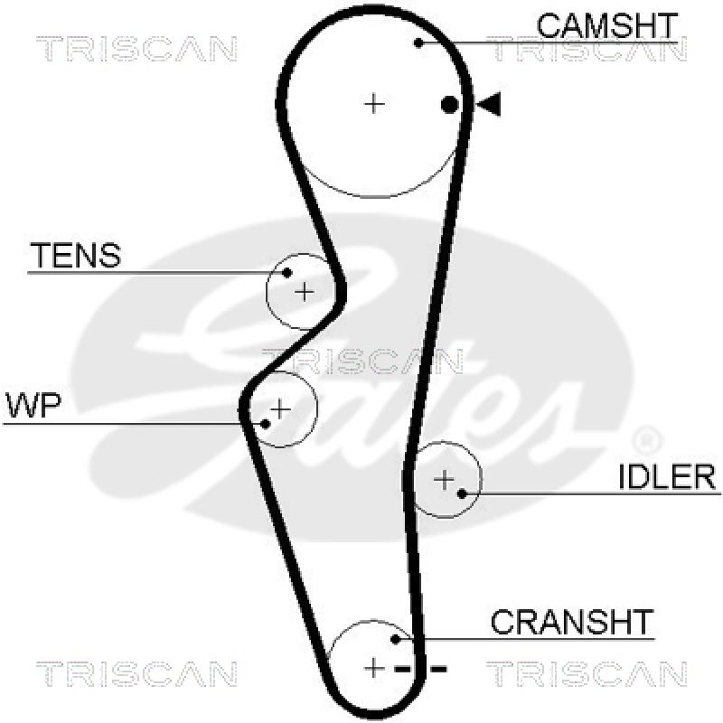 Courroie de distribution TRISCAN 8645 5430xs - Visuel 1