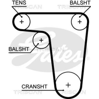 Courroie de distribution TRISCAN [8645 5618xs]