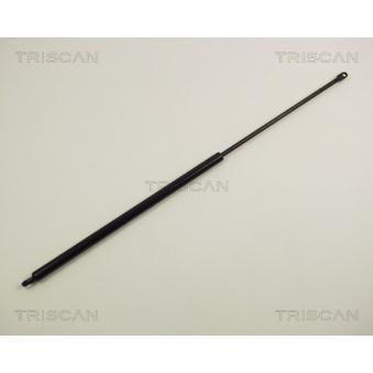 Vérin, capot-moteur TRISCAN [8710 1004]