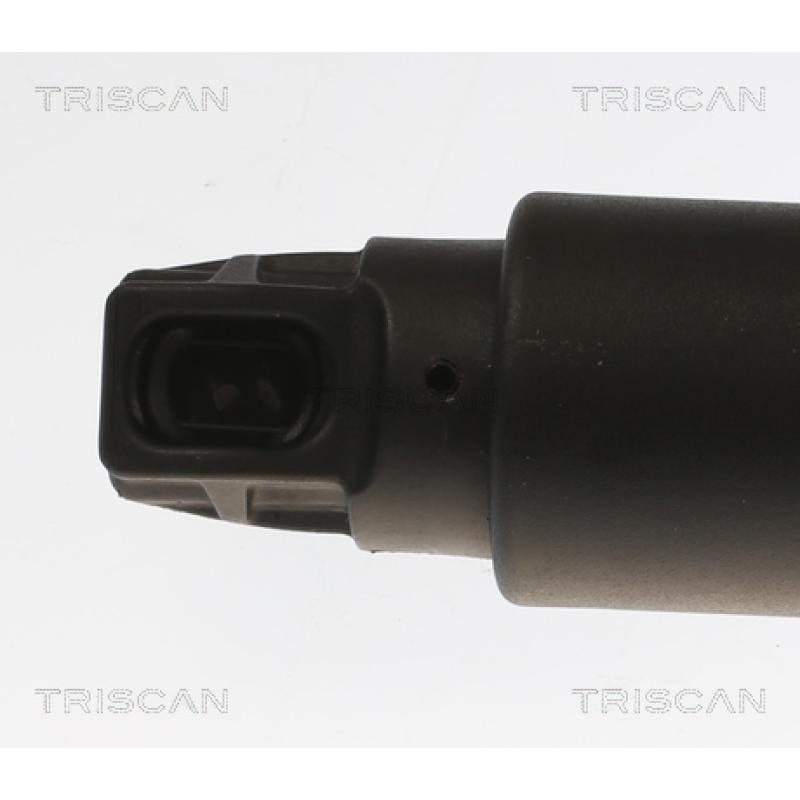 Vérin de hayon, de coffre TRISCAN 8710 11303 - Visuel 1