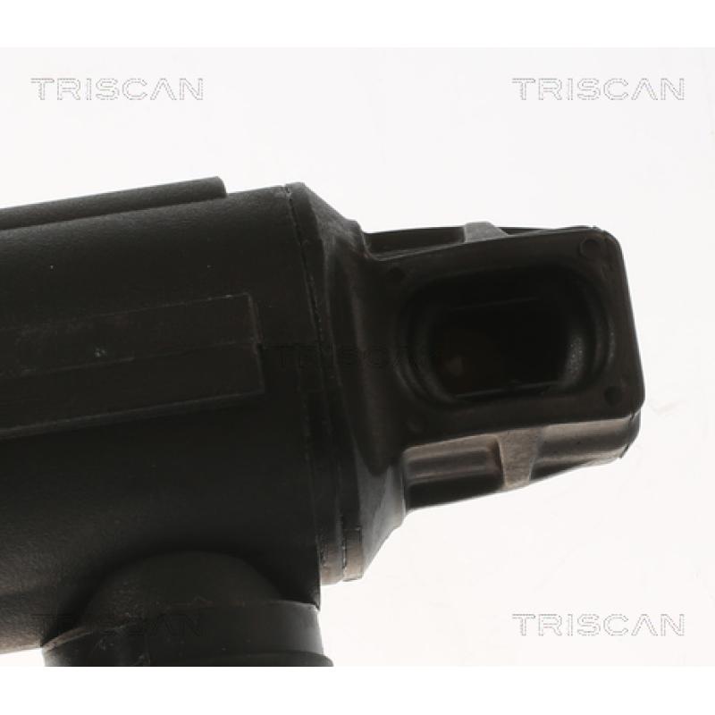 Vérin de hayon, de coffre TRISCAN 8710 11303 - Visuel 2