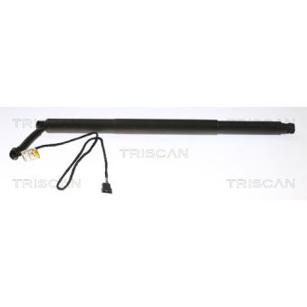 Vérin de hayon, de coffre TRISCAN OEM 51247339431 Vérin de hayon, de coffre TRISCAN OEM 51247339431