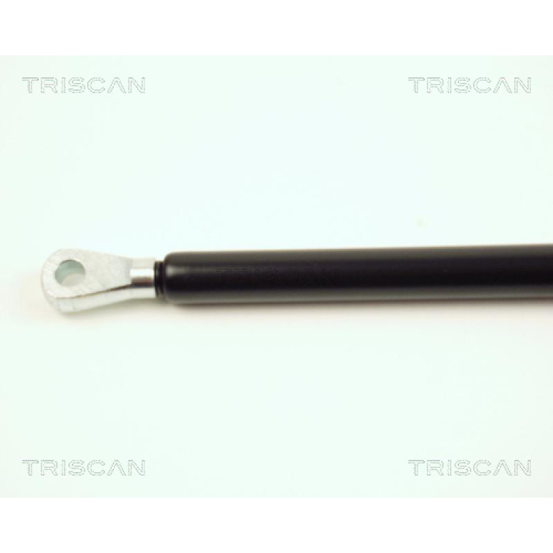 Vérin, capot-moteur TRISCAN 8710 16102 - Visuel 1