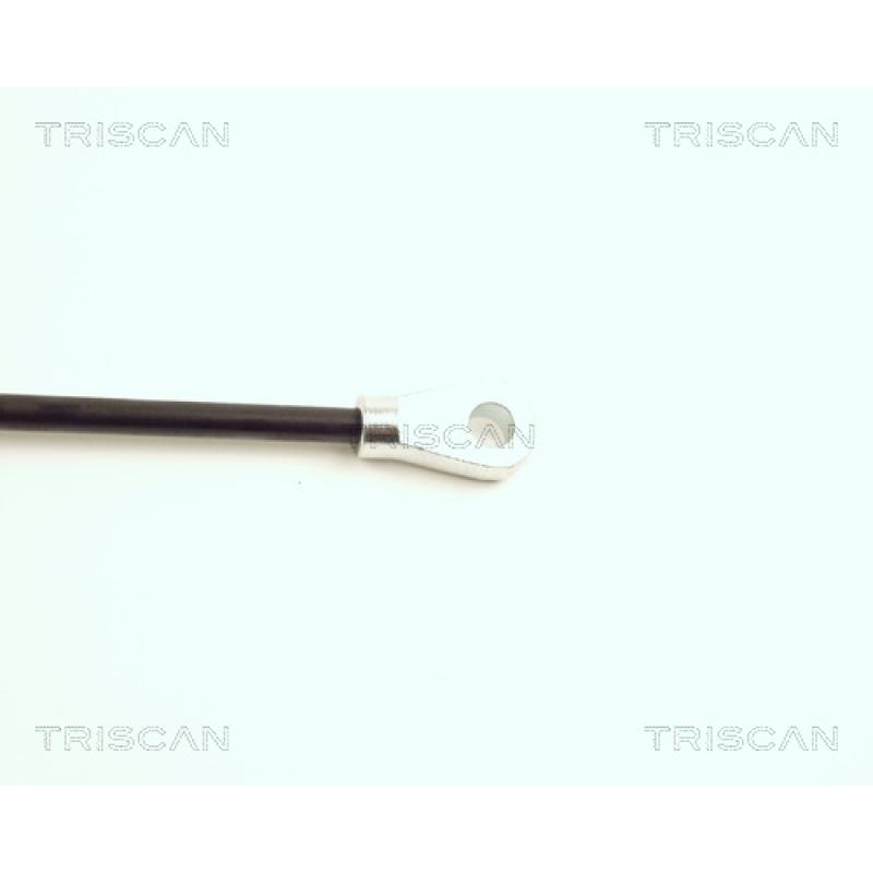 Vérin, capot-moteur TRISCAN 8710 16102 - Visuel 2